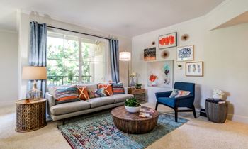 Lots of natural light in apartment